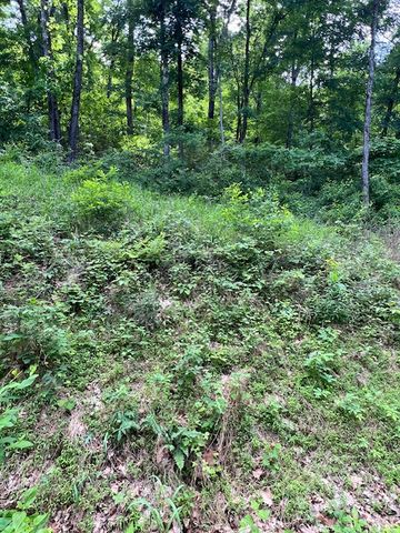 6 Wildcat Drive, Holiday Island, AR 72631