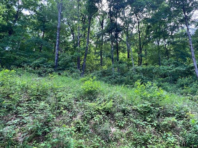 6 Wildcat Drive, Holiday Island, AR 72631