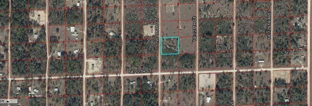 NORTHEAST 126 COURT, Williston, FL 32696