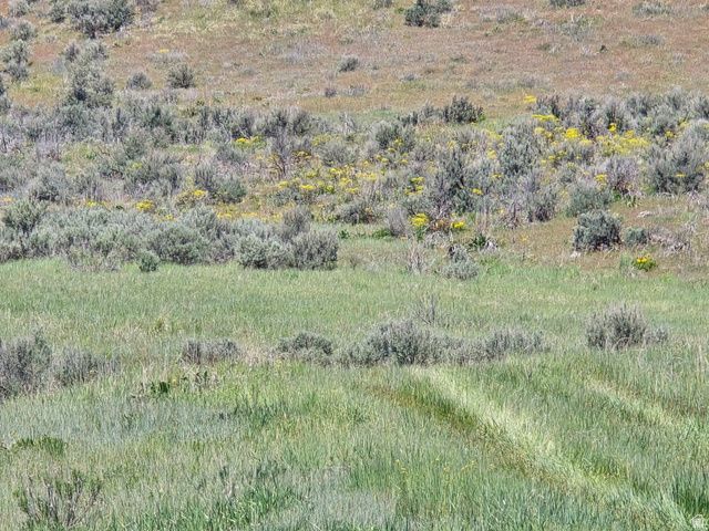 8400 N TREASURETON 1600, Preston, ID 83263