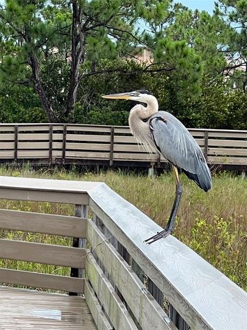 184 W Bay Cedar Cir, Jupiter, FL 33458