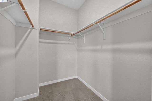 37623 Shelter Rd, Newark, CA 94560