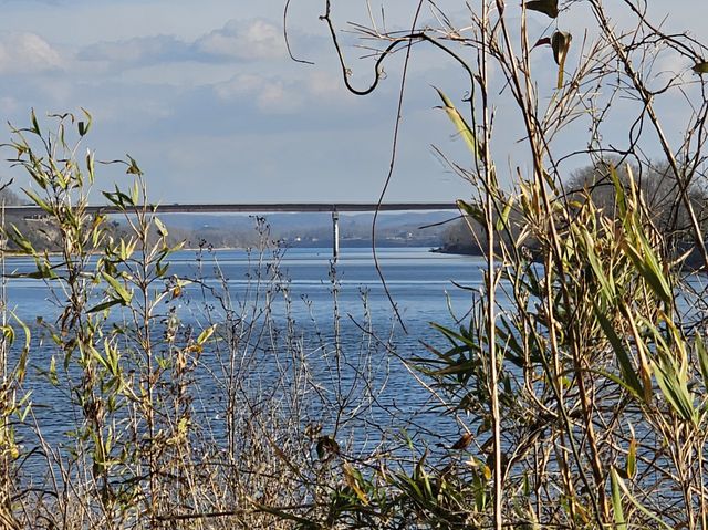 4 Island View Dr, Bath Springs, TN 38311