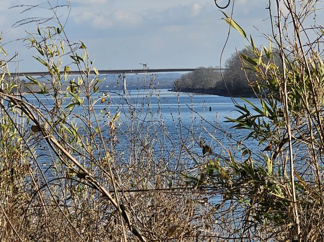 4 Island View Dr, Bath Springs, TN 38311