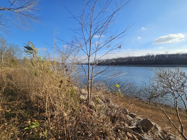 4 Island View Dr, Bath Springs, TN 38311