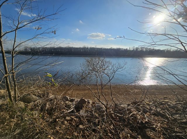 4 Island View Dr, Bath Springs, TN 38311