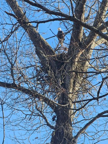 4 Island View Dr, Bath Springs, TN 38311