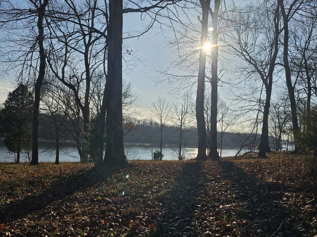 4 Island View Dr, Bath Springs, TN 38311