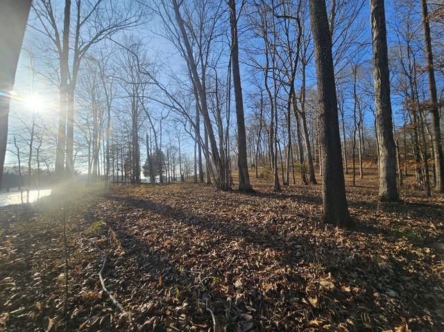 4 Island View Dr, Bath Springs, TN 38311