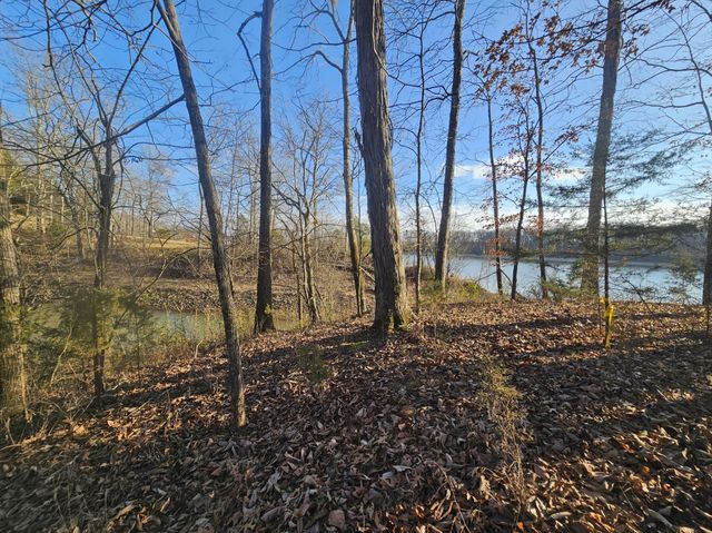 4 Island View Dr, Bath Springs, TN 38311
