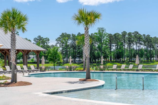 3624 Goodwater Street, Mount Pleasant, SC 29466