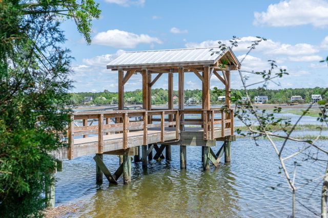 3624 Goodwater Street, Mount Pleasant, SC 29466