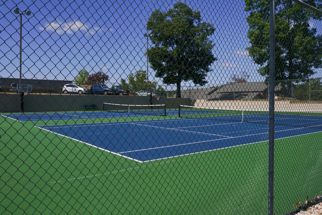 186 Bunker Ridge Drive Unit 1, Branson, MO 65616