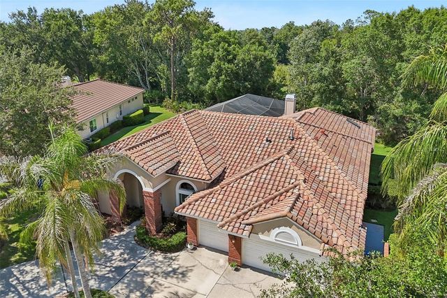 17722 GREY EAGLE ROAD, Tampa, FL 33647