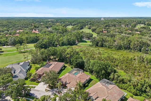 17722 GREY EAGLE ROAD, Tampa, FL 33647