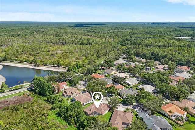 17722 GREY EAGLE ROAD, Tampa, FL 33647
