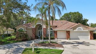 17722 GREY EAGLE ROAD, Tampa, FL 33647