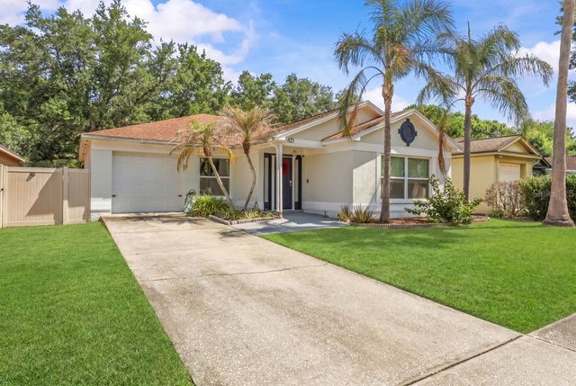 421 BENSON STREET, Valrico, FL 33594