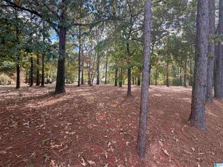 5774 DANA CIRCLE, Mccalla, AL 35111