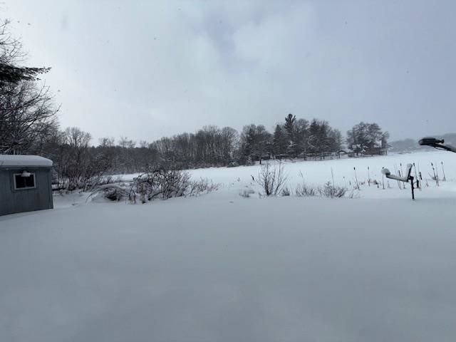 5921 N Bayshore Drive, Irons, MI 49644