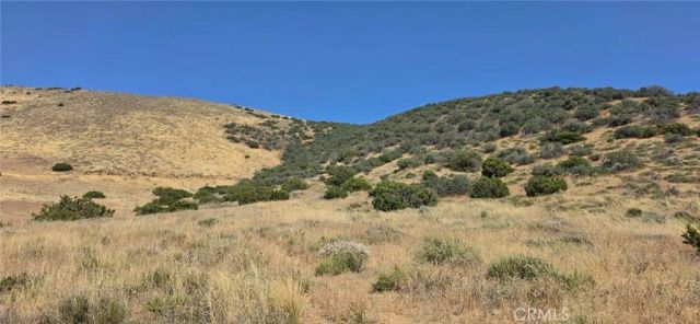 31 Stw/Mayme, Acton, CA 93510