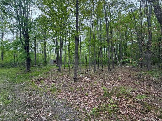 5994 N Lake Sanford Road, Sanford, MI 48657