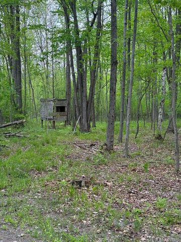 5994 N Lake Sanford Road, Sanford, MI 48657