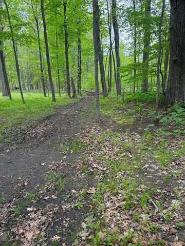 5994 N Lake Sanford Road, Sanford, MI 48657