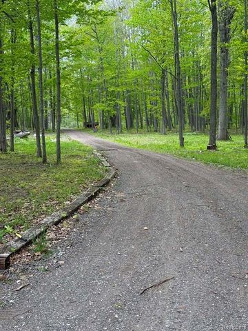 5994 N Lake Sanford Road, Sanford, MI 48657