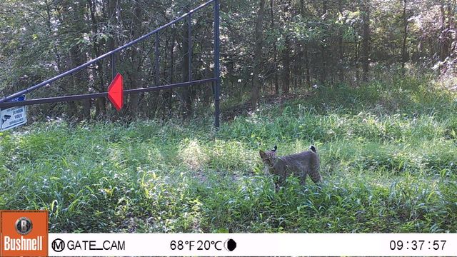 000 County Road 509 Off County Rd, Damon, TX 77430