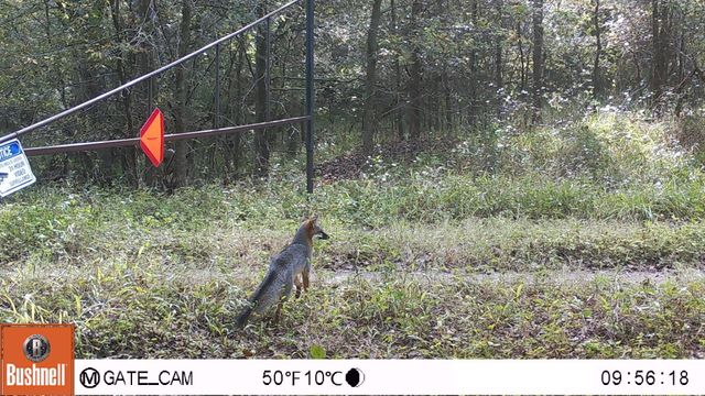 000 County Road 509 Off County Rd, Damon, TX 77430