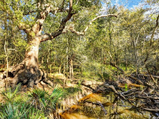 000 County Road 509 Off County Rd, Damon, TX 77430