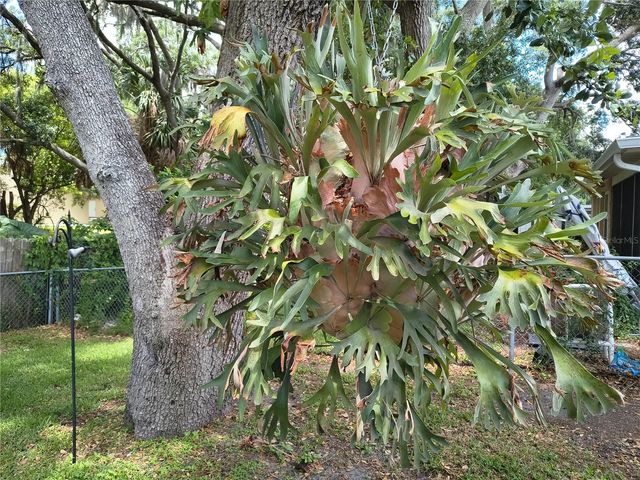 6627 PARKSIDE DRIVE, New Port Richey, FL 34653