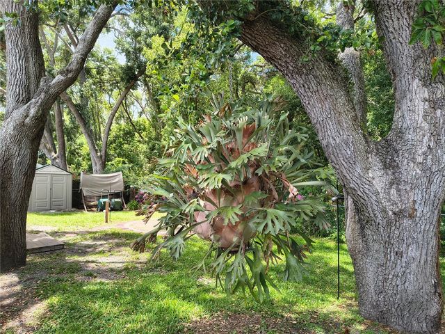 6627 PARKSIDE DRIVE, New Port Richey, FL 34653