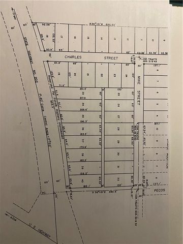 104 Charles St S, George West, TX 78022