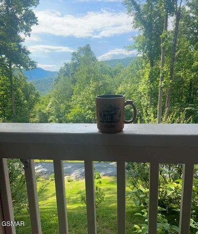 1016 Country Mountain Road, Cosby, TN 37722