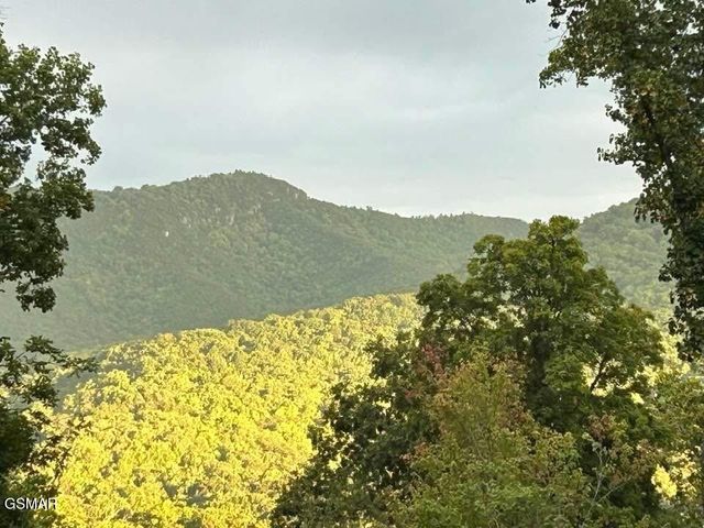 1016 Country Mountain Road, Cosby, TN 37722