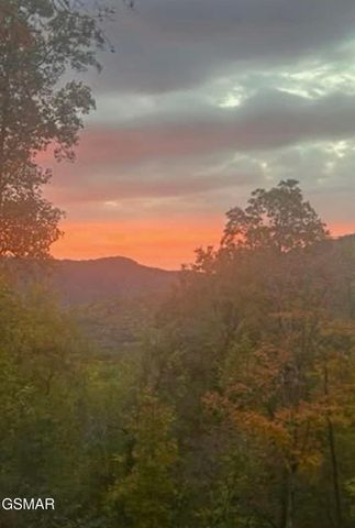 1016 Country Mountain Road, Cosby, TN 37722