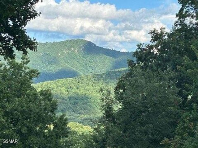 1016 Country Mountain Road, Cosby, TN 37722