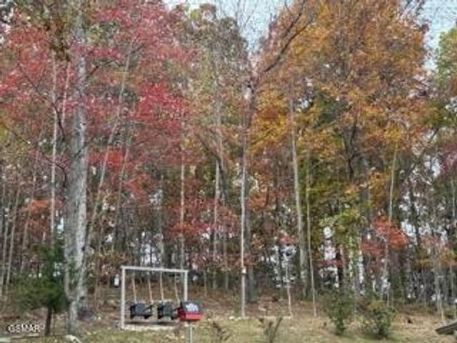 1016 Country Mountain Road, Cosby, TN 37722