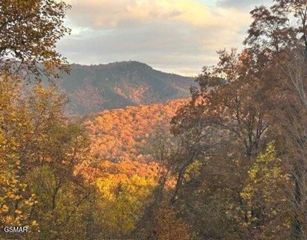 1016 Country Mountain Road, Cosby, TN 37722