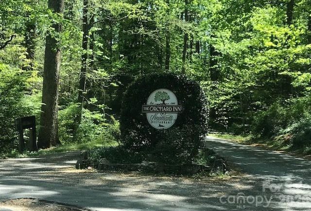 00 Charleston Harbor Drive 11, Saluda, NC 28773