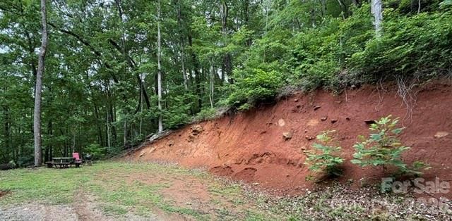 00 Charleston Harbor Drive 11, Saluda, NC 28773