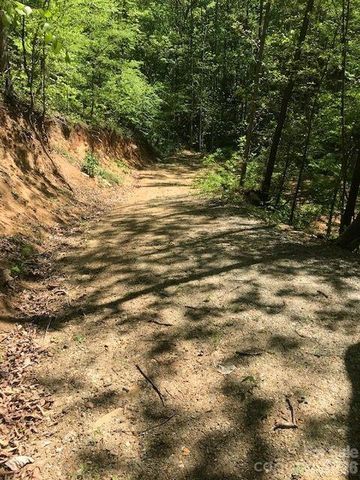 00 Charleston Harbor Drive 11, Saluda, NC 28773