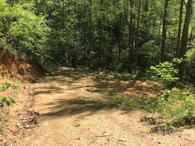 00 Charleston Harbor Drive 11, Saluda, NC 28773