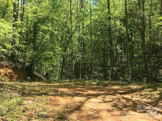 00 Charleston Harbor Drive 11, Saluda, NC 28773