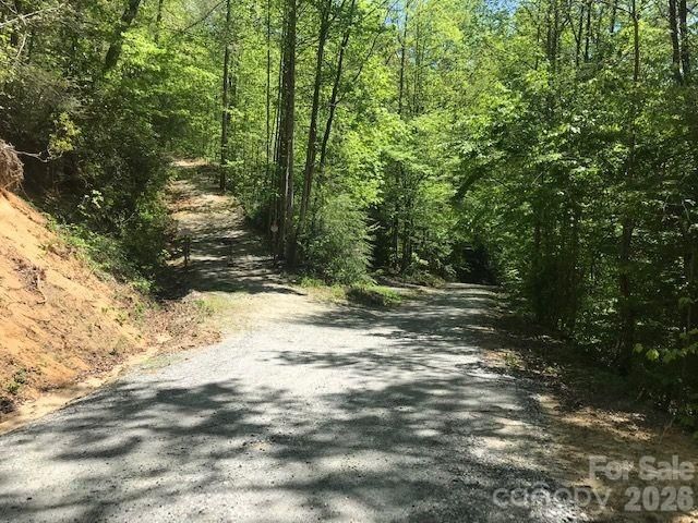 00 Charleston Harbor Drive 11, Saluda, NC 28773