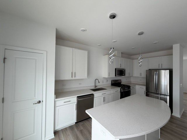 1602 Neubauer Circle 1203, Lindenhurst, IL 60046