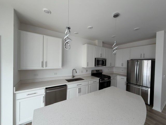 1602 Neubauer Circle 1203, Lindenhurst, IL 60046