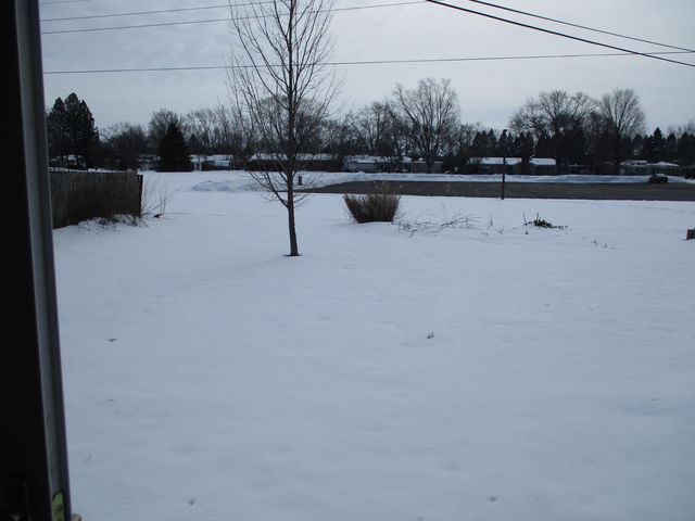 1636 S Cherry Drive, Lincoln Twp, MI 49127